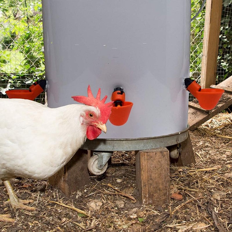 Doublewood Fully Automatic Poultry Drinking Machine Chicken Drinking Cup  Chicken Drinking Watering Cups/Poultry Drinking Machine (24) - Image 4