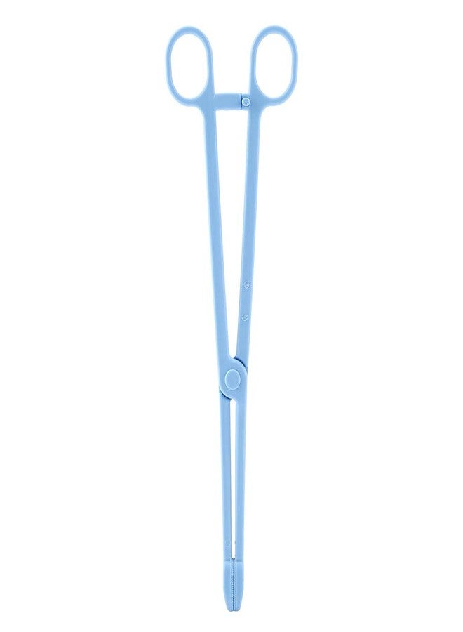EBTOOLS Reptile Feeding Clip, 24.5cm/9.64inch Blue Plastic Clip Reptile Plastic Tweezers Tongs Feeding Tool for Tortoise Lizard Frog Spider Tarantulas - Image 1