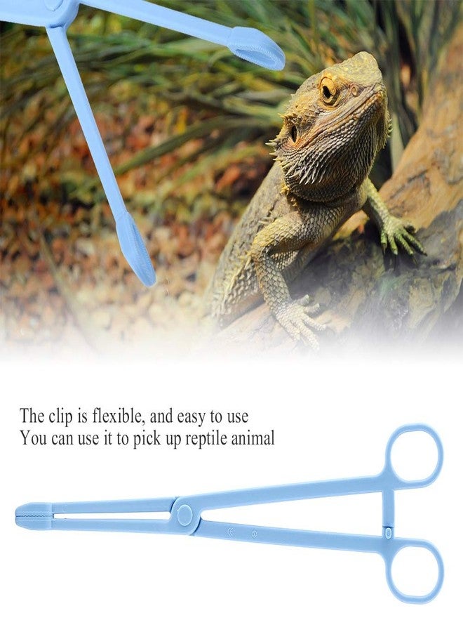 EBTOOLS Reptile Feeding Clip, 24.5cm/9.64inch Blue Plastic Clip Reptile Plastic Tweezers Tongs Feeding Tool for Tortoise Lizard Frog Spider Tarantulas - Image 3