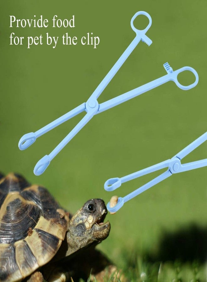 EBTOOLS Reptile Feeding Clip, 24.5cm/9.64inch Blue Plastic Clip Reptile Plastic Tweezers Tongs Feeding Tool for Tortoise Lizard Frog Spider Tarantulas - Image 2