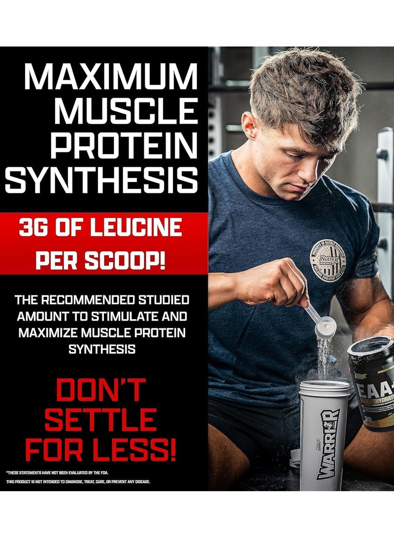 نورتكس ريسيرش EAA + ترطيب - توت أزرق - (390 جم) - Image 3