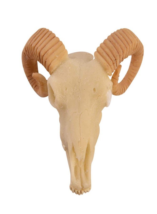 Wixine 1Pcs Aquarium Resin Sheep Head Skull Fish Tank Ornament Terrarium Reptile Decorations - Image 1