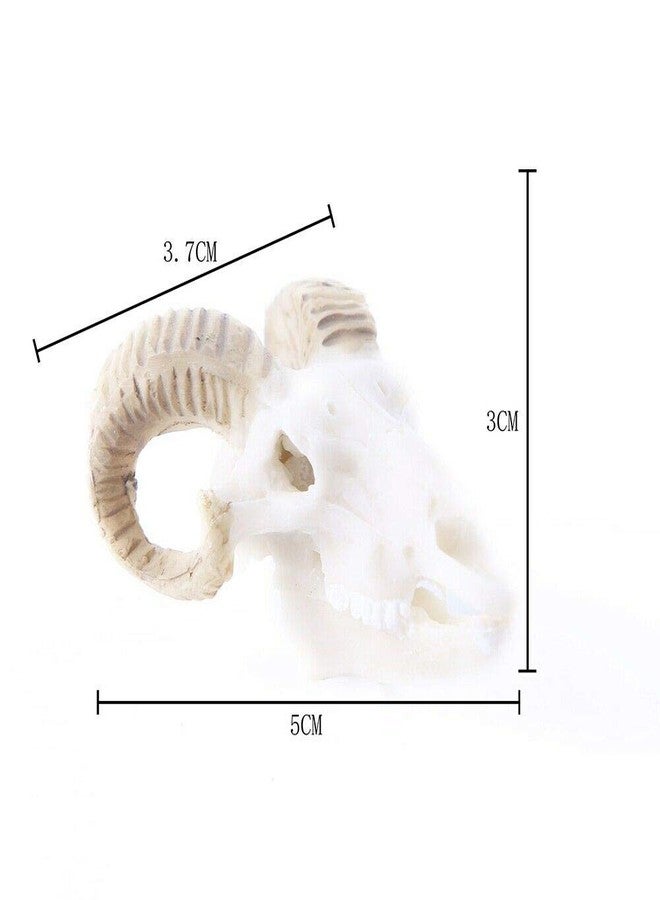 Wixine 1Pcs Aquarium Resin Sheep Head Skull Fish Tank Ornament Terrarium Reptile Decorations - Image 3