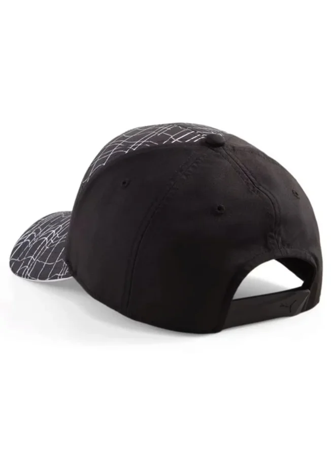 BMW Motorsport BMW CAP