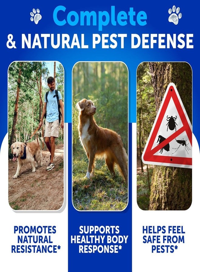 Artullano Flea and Tick Prevention for Dogs Chewables - Natural Flea Treatment Control - Supplement for Large & Small Dogs with Vitamins - Immune Support Chews - Puppy Pest Defense Oral Pills - 70 Soft Treats - Image 3
