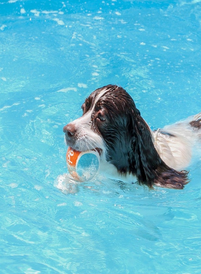 ALL FOR PAWS Tennis Balls Dog Toy, 2.5 Inch Pet Safe Fetch Balls for Dogs 20-60 lbs, Colorful Dog Balls Toys with Super Bounce (4 Pack) - Image 2