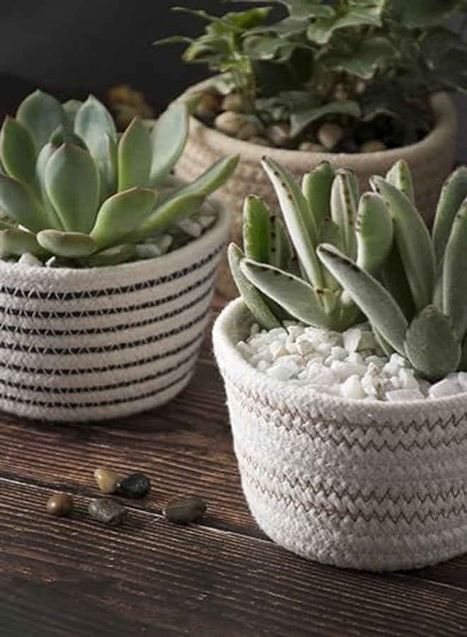 SuperMoss (24323) Decorative Gravel - Natural Pebbles for Indoor Plants, Succulents & Terrariums, 25oz Jar, Green - Image 5