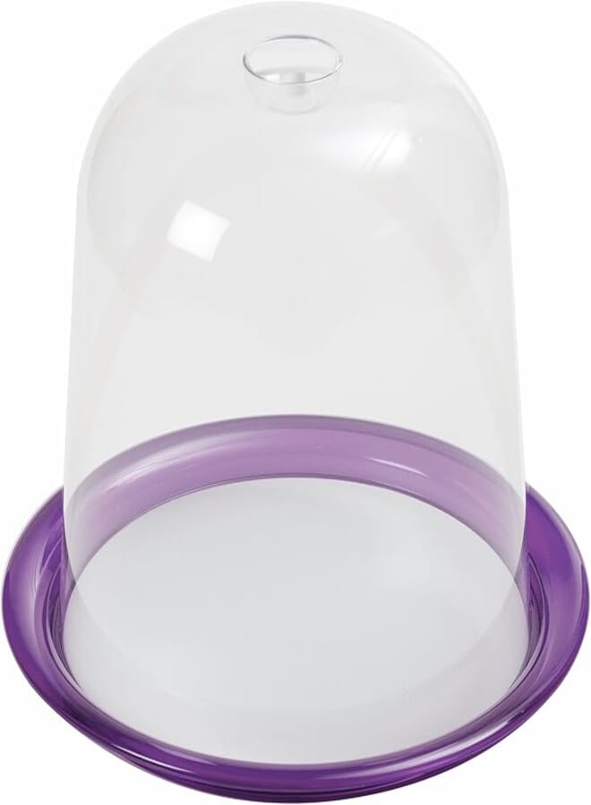 Omada Globo Panettone Tall Cake Tray with Dome Table Display (Purple)