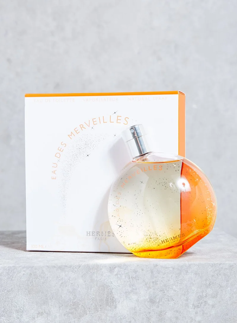HERMES Eau Des Merveilles 100Ml Edt