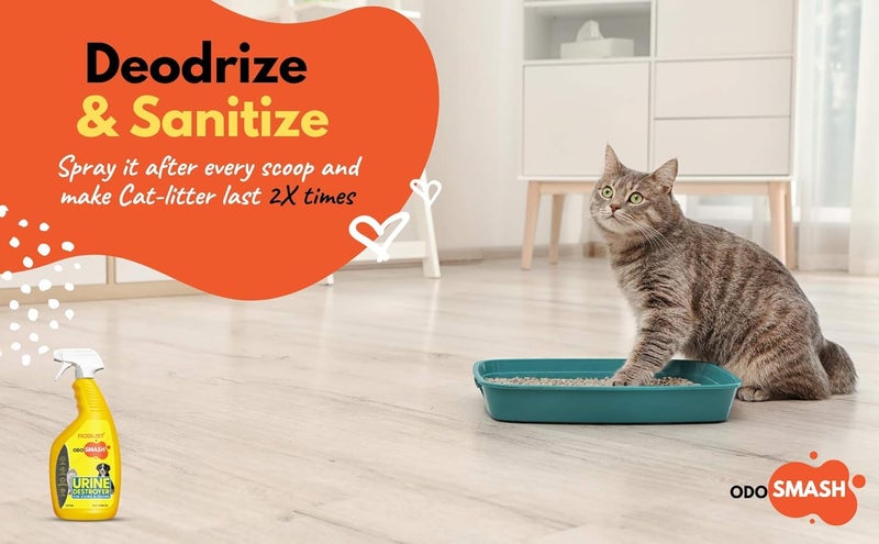 ROBUST مزيل روائح منطقة الحيوانات الأليفة أودوسماش برائحة الحمضيات المنعشة يزيل البقع من البول والبراز والقيء | تركيبة طبيعية حيوية إنزيمية | رذاذ فضلات القطط | لجميع الحيوانات الأليفة وجميع الأسطح | 250 مل - Image 4