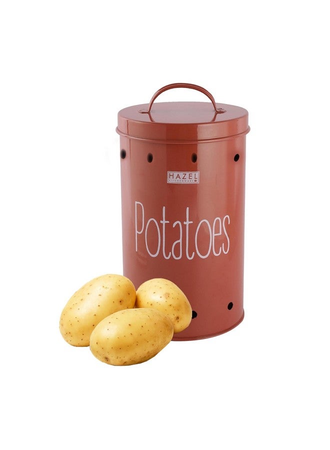 Hazel حاوية تخزين بصل البطاطس هازيل للمطبخ (أحمر، بطاطس) - Image 1