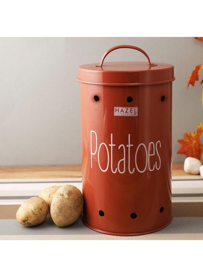 Hazel حاوية تخزين بصل البطاطس هازيل للمطبخ (أحمر، بطاطس) - Image 2