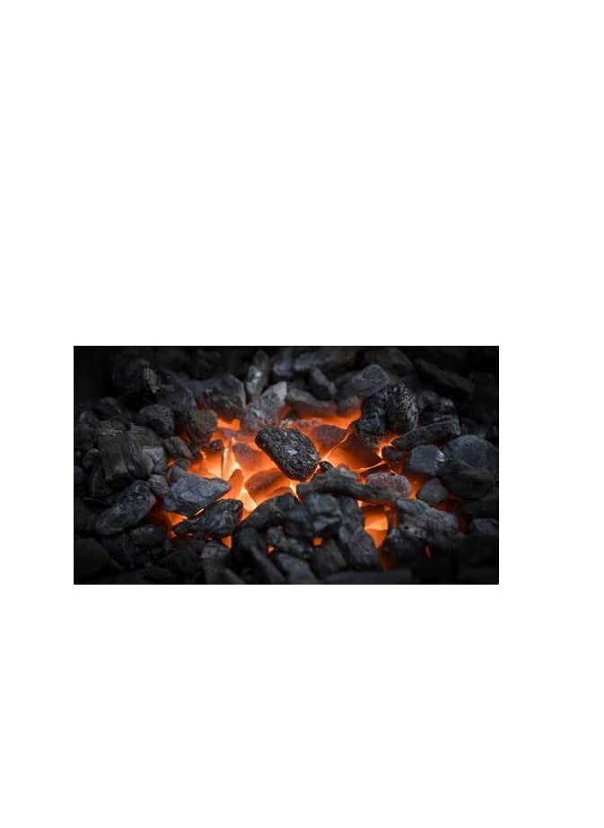 Generic Special BBQ Charcoal10kg Bag - 100 % Natural Wood charcoal - Best for BBQ & Grilling  - Image 3