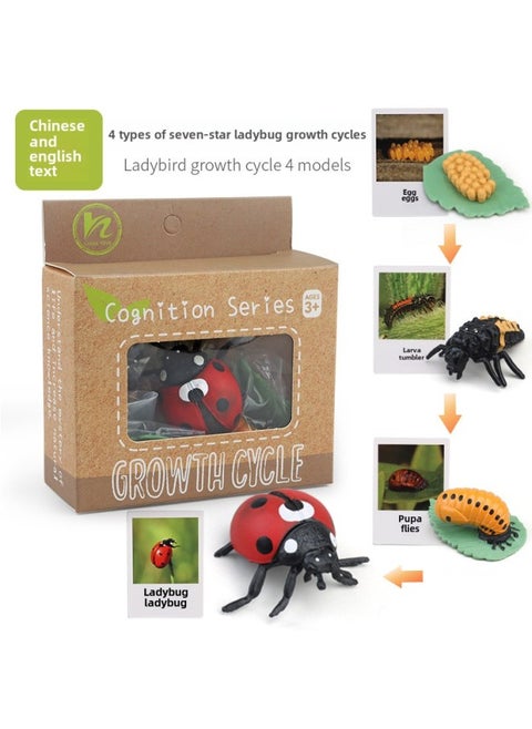Realistic Simulation Animal Plant Models Toy Collection - Dinosaurs Dragons Unicorns Mermaids Sharks More-Color:PL127-2403 Ladybug Growth Cycle + Chinese Card + Color Box
