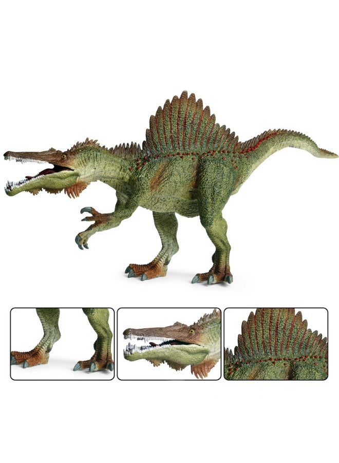 HALAMODO Morocco Spinosaurus Animal Model Toy With Movable Jaw, Realistic Solid Dinosaur Statue, Jurassic Dinosaur Toy For Kids, Children Cognitive Education Toy, Bath And Pool Water Play Toys, Boys Girls Birthday Party Gifts,  Ideal Gift and Room Decor for Boys & Girls, Green , 37*9.5*17 Cm - Image 2