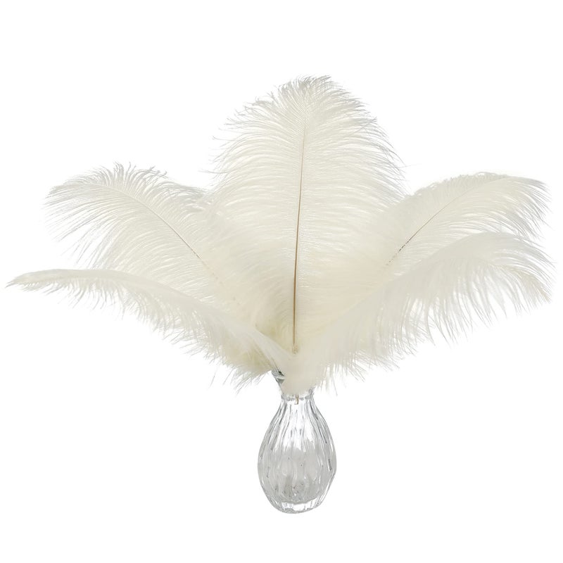 Ballinger Beige Ostrich Feathers Bulk - 24pcs 10-12inch Boho Feathers for vaseï¼ŒWedding Party Centerpieces and Home Decor - Image 1