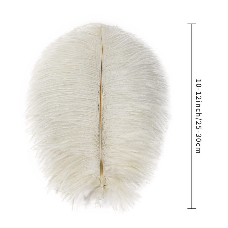 Ballinger Beige Ostrich Feathers Bulk - 24pcs 10-12inch Boho Feathers for vaseï¼ŒWedding Party Centerpieces and Home Decor - Image 3