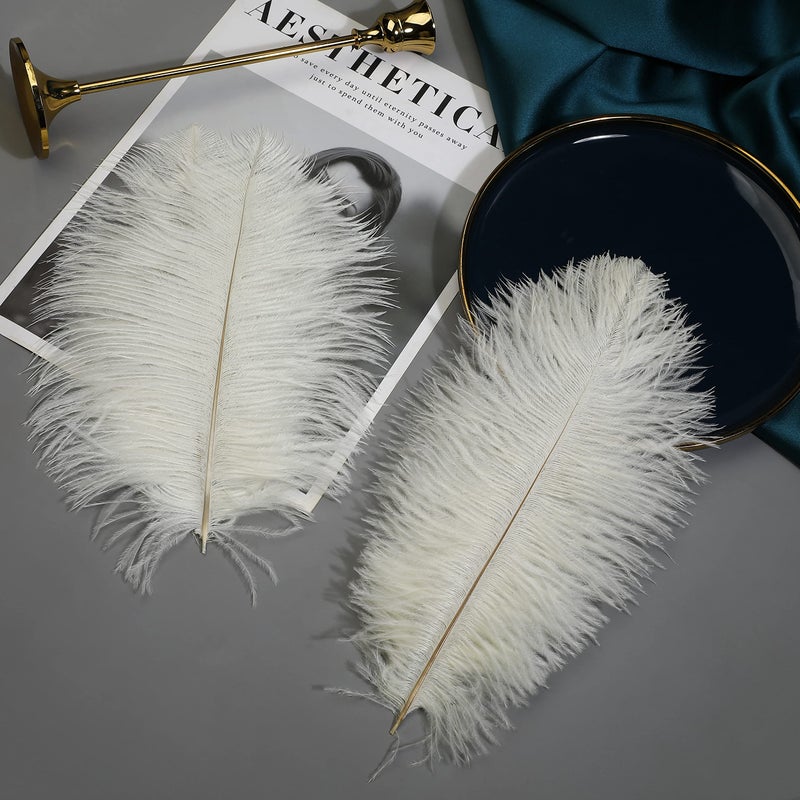 Ballinger Beige Ostrich Feathers Bulk - 24pcs 10-12inch Boho Feathers for vaseï¼ŒWedding Party Centerpieces and Home Decor - Image 5