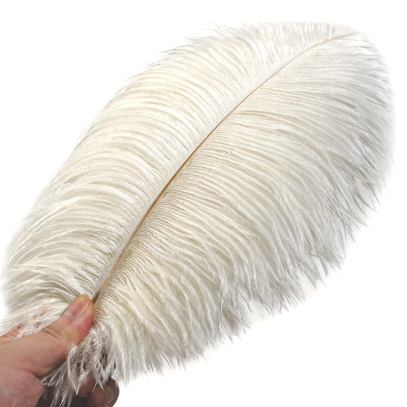 Ballinger Beige Ostrich Feathers Bulk - 24pcs 10-12inch Boho Feathers for vaseï¼ŒWedding Party Centerpieces and Home Decor - Image 2