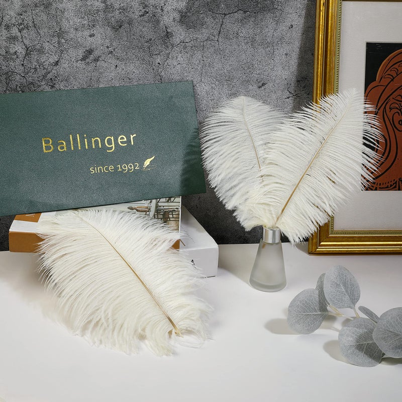 Ballinger Beige Ostrich Feathers Bulk - 24pcs 10-12inch Boho Feathers for vaseï¼ŒWedding Party Centerpieces and Home Decor - Image 4