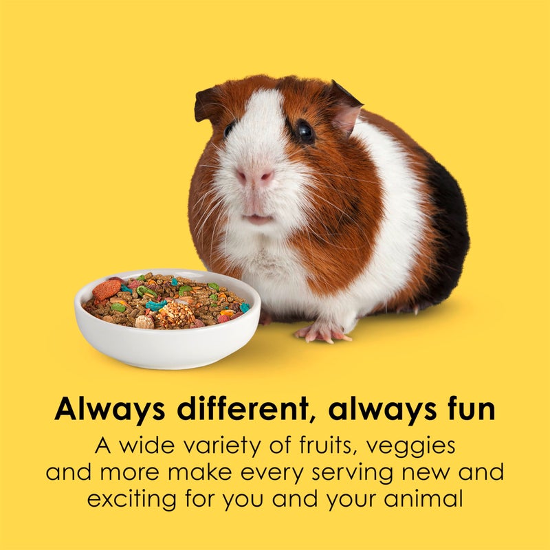 Kaytee Fiesta Guinea Pig Food, Nutritious and Fun Blend, Supports Dental Health and Digestion, 4.5 pounds - Image 3