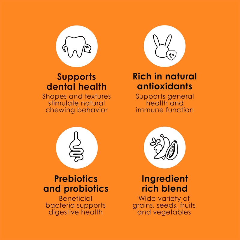 Kaytee Fiesta Guinea Pig Food, Nutritious and Fun Blend, Supports Dental Health and Digestion, 4.5 pounds - Image 5