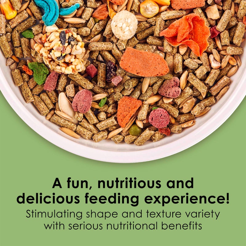 Kaytee Fiesta Guinea Pig Food, Nutritious and Fun Blend, Supports Dental Health and Digestion, 4.5 pounds - Image 2