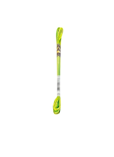 DMC Color Variations 6-Strand Embroidery Floss 8.7yd Margarita