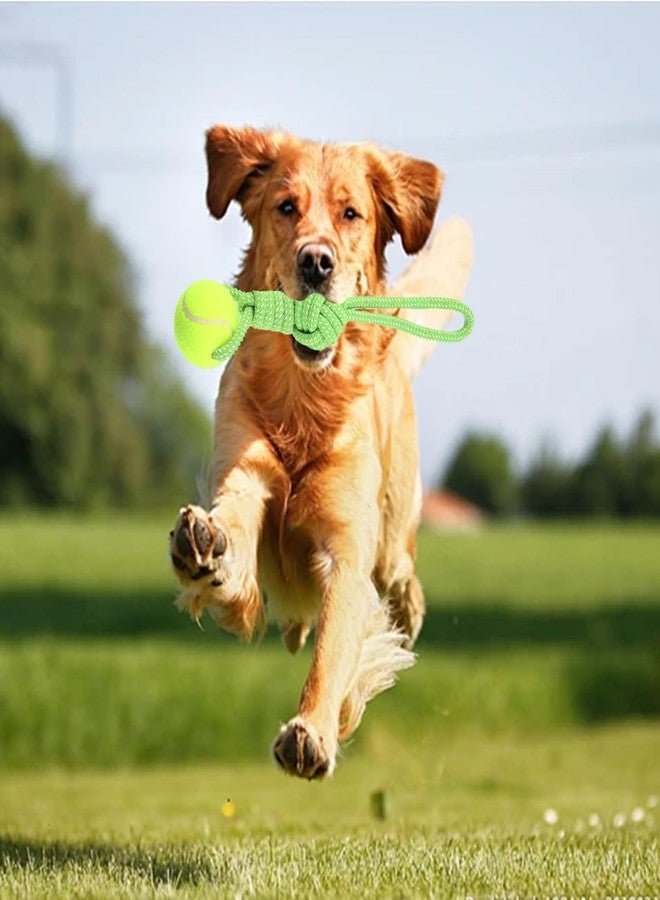 Erhalithegro Dog Rope Toy for Medium and Small Dogs Interactive Puppy Toys Tug of War Rope Tether Tug Outdoor Dog Toy 1 Knot Puppy Teething Chew Cotton with Tennis Ball - Image 3