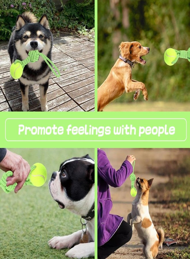 Erhalithegro Dog Rope Toy for Medium and Small Dogs Interactive Puppy Toys Tug of War Rope Tether Tug Outdoor Dog Toy 1 Knot Puppy Teething Chew Cotton with Tennis Ball - Image 4