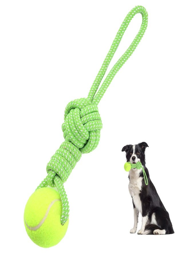 Erhalithegro Dog Rope Toy for Medium and Small Dogs Interactive Puppy Toys Tug of War Rope Tether Tug Outdoor Dog Toy 1 Knot Puppy Teething Chew Cotton with Tennis Ball - Image 1
