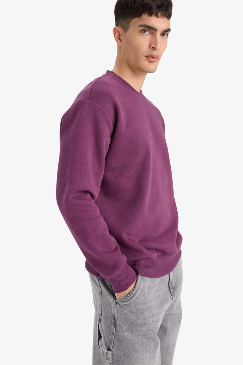 DeFacto Relax Fit Crew Neck Thick Fabric Sweatshirt - Image 3
