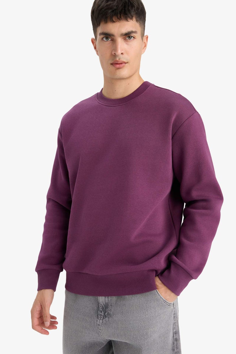 DeFacto Relax Fit Crew Neck Thick Fabric Sweatshirt - Image 1