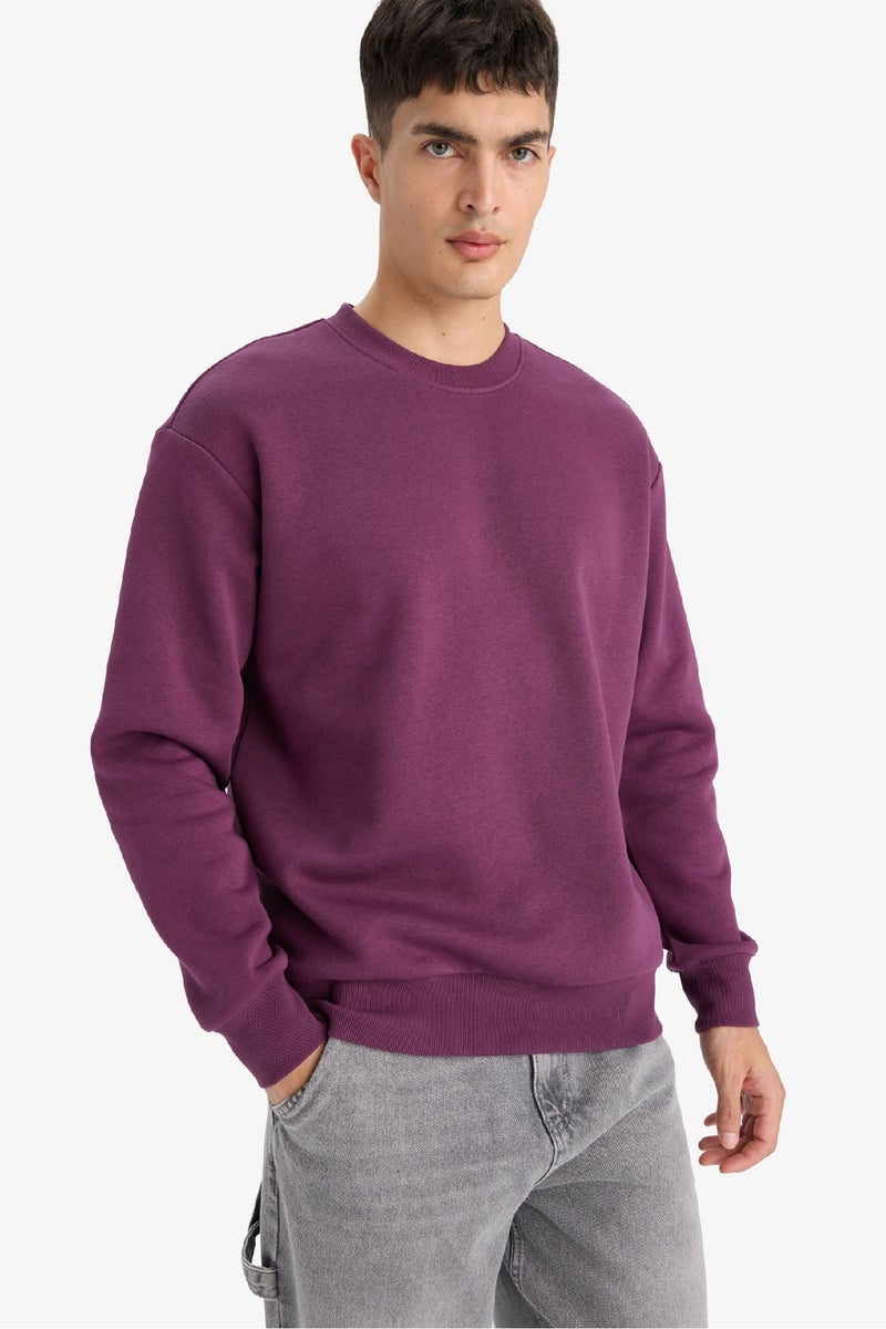 DeFacto Relax Fit Crew Neck Thick Fabric Sweatshirt - Image 4