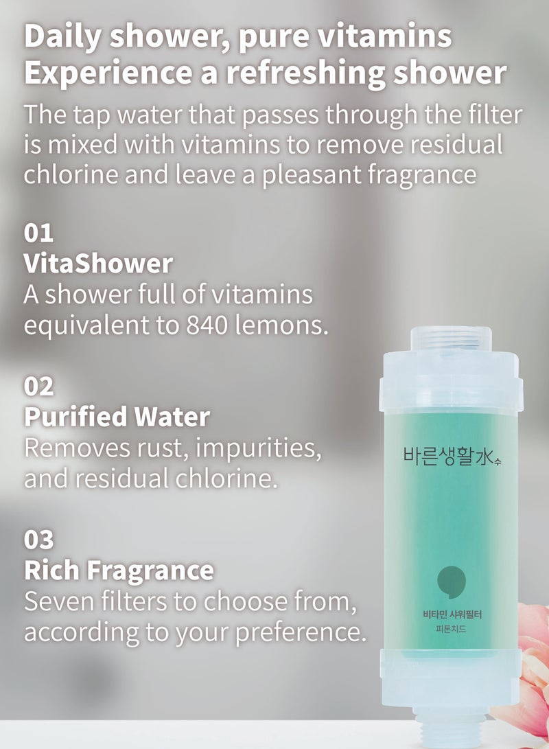 Bareunsoo Korean shower filter (Phytoncide) - Image 3
