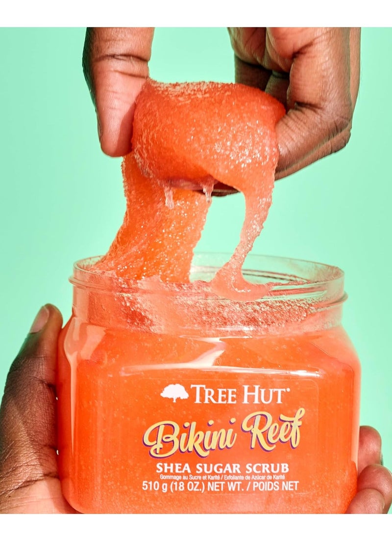 Tree Hut Tree Hut Bikini Reef Shea Sugar Scrub | Exfoliating Body Scrub Removes Dead, Dry Skin for a Soft & Hydrated Feel | Nourishing Essential Body Care | 18 fl oz.  - Image 4