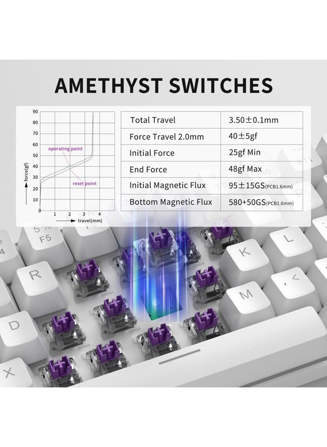 MageGee 60% Rapid Trigger Magnetic Switch Keyboard, Wired 68 Keys Hot Swappable Custom RGB Backlit Gaming Keyboard for Win/PC/MAC, White - Image 3