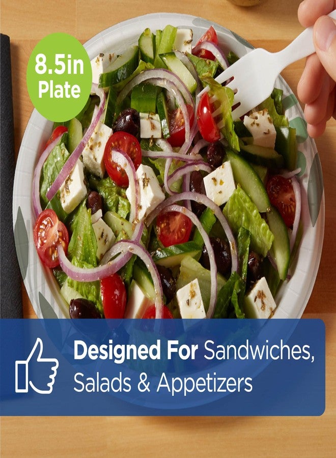 Dixie 8 1/2 Inch Medium-Weight Disposable Paper Plates, Pathways, 300 Count, Bulk Case, 6 Packs/50 Count Per Pack, (Georgia-Pacific #UX9P300) - Image 3