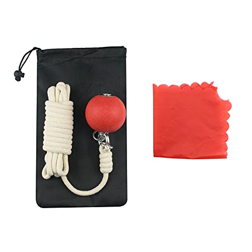 PHYSKOW Rubber Meteor Hammer for Beginners Exercise Ball Chinese Kungfu Traditional Martial Arts Soft Equipment (Rubber Meteor Hammer) - Image 4