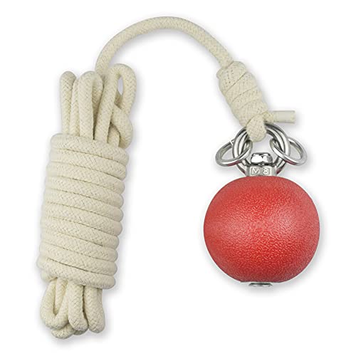 PHYSKOW Rubber Meteor Hammer for Beginners Exercise Ball Chinese Kungfu Traditional Martial Arts Soft Equipment (Rubber Meteor Hammer) - Image 5