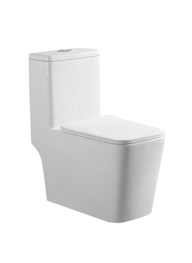 DANUBE HOME Milano Wc 188 Pro One Piece White 690 390 750 - Made In China  - Image 5