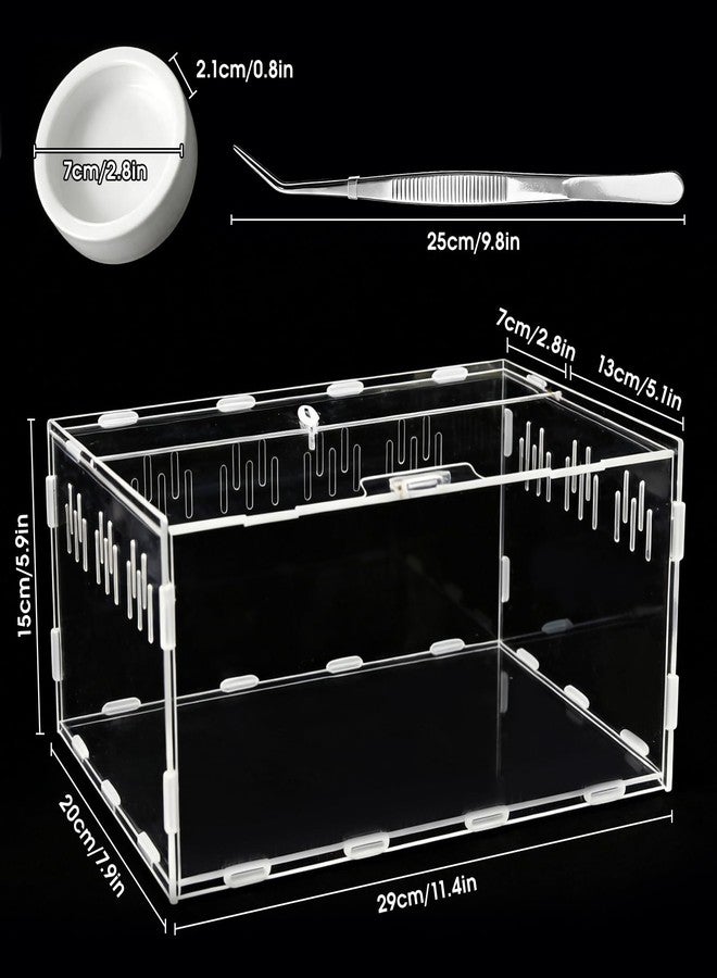 Adoture Acrylic Reptile Terrarium, Tarantula Enclosure with Magnetic Door, Easy-Clean Reptile Tank for Spider, Insect, Gecko, Mantis, Frog, Snail, Isopods(Tweezer and Bowl Included) - Image 3