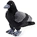 Aoriher 12 Inch Crow Plush Stuffed Animal Soft Black Fluffy Plush Toy Realistic Bird Stuffed Animal for Home Decoration Pet Party Favors Collection Supplies - Image 2
