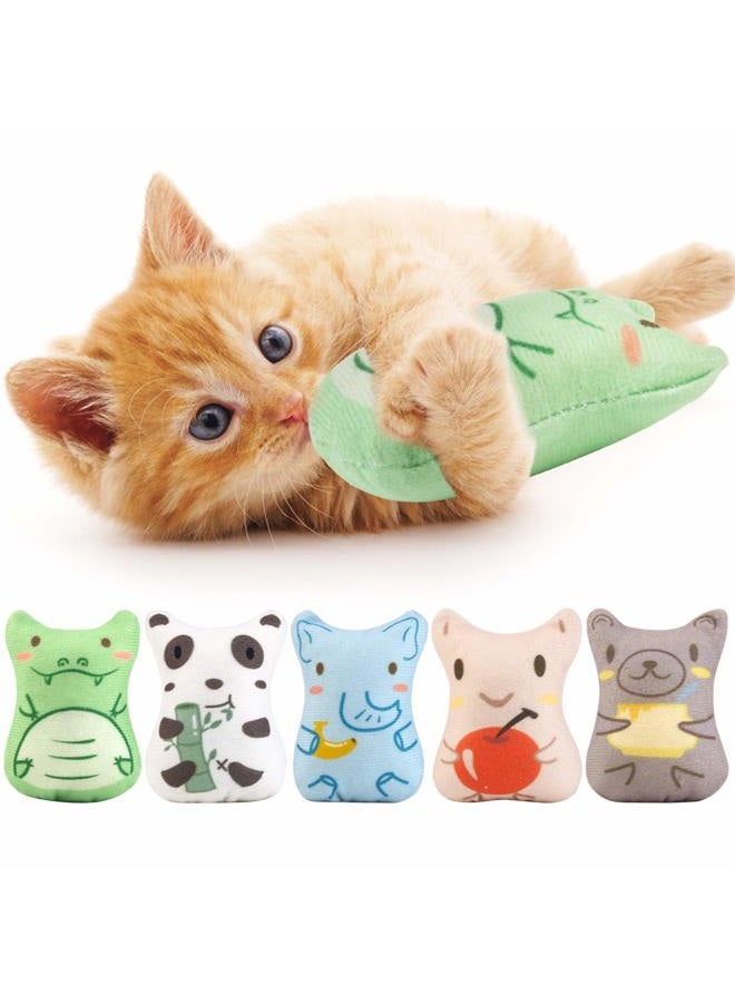 Dorakitten Catnip Toys for Indoor Cats - 5PCS Plush Cat Chew Toys Teething Interactive Catnip Filled Kitten Toy Soft Pet Toy - Image 1