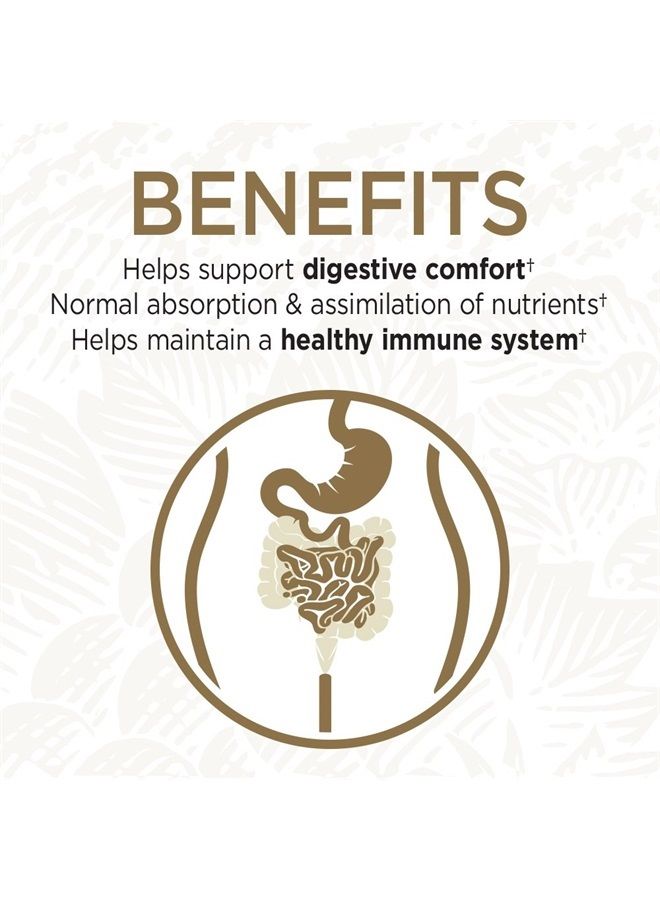 Whole Food Primal Defense Ultra Ultimate Probiotic Dietary Supplement Vegetarian Capsules for Digestive and Gut Health, 180 Count