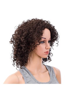 12-Inch Short Big Bouffant Curly Wigs For Women Synthetic Heat Resistant Fiber Hair Pieces With Wig Cap (Dark Brown-4#) - pzsku/ZD2EEBE02B7D3E504F1F4Z/45/_/1734182960/455b05a3-a3c3-444b-81a8-fc2d93e116b0