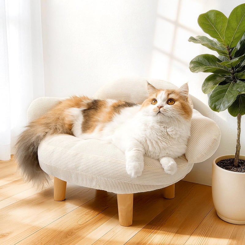 Famifit Cat Sofa Furniture-Style Pet Bed with Removable Cotton Velvet Cover, Solid Pine Wood Legs, for Cats and Small Dogs, White - Image 1