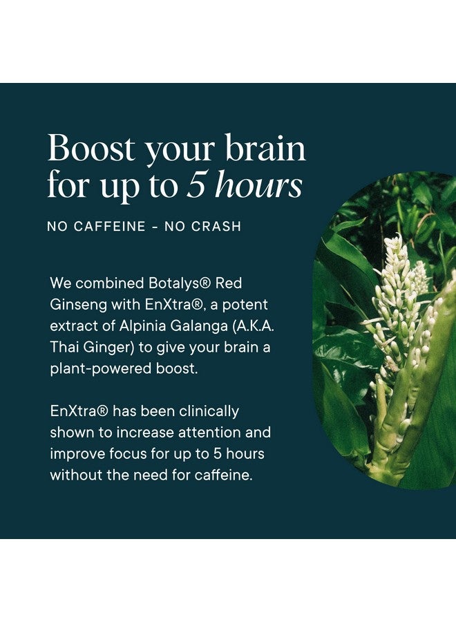Ora Organic - Brain Health Supplement for Focus, Mental Energy + Memory - Panax Red Ginseng, Bacopa Monnieri, Alpha GPC, & EnXtra - Third-party Tested & Caffeine-free - 60 Capsules - Image 4
