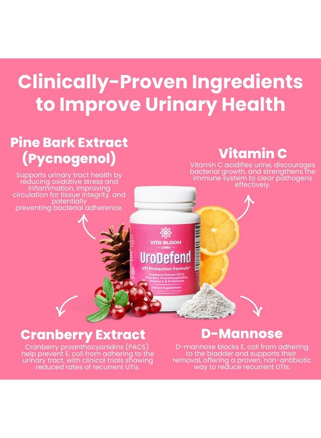 Generic Vita Bloom Labs UroDefend UTI Protection Formula | Cranberry PACs | Physician Formulated | Additive Free + Gluten Free | Cranberry Extract, Pine Bark Extract, D Mannose, Vitamin C | 60 Capsules  - Image 3