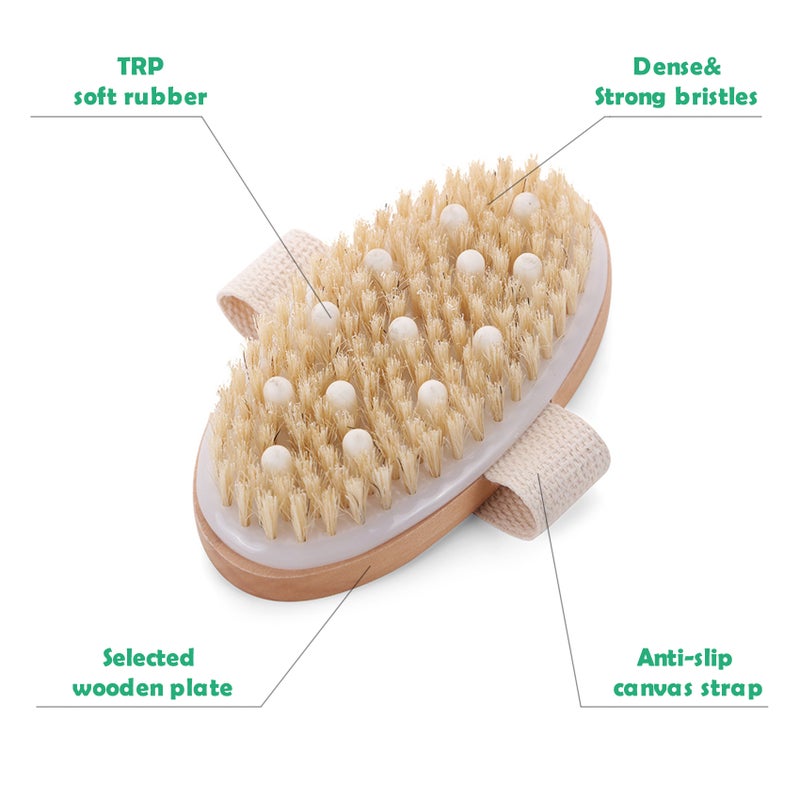 Massage Body Brush Wet or Dry Brushing Body Exfoliating Bath Brush Natural Bristles Cellulite Shower Brush for Removing Dead Skin Cellulite Lymph Lymphatic Drainage - Image 5